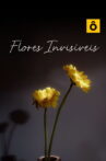 Flores Invisíveis Movie Streaming Online