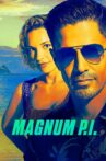 Web Series Streaming Online