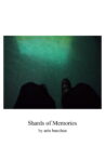 Shards of Memories Movie Streaming Online