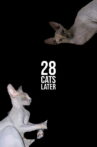 28 Cats Later Movie Streaming Online