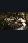 A côté des orties Movie Streaming Online