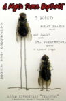 A Fly Is Also a Helicopter Movie Streaming Online