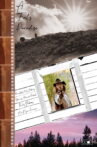 A Fools Paradise Movie Streaming Online