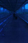 A Foreigner, I Came, A Foreigner, I Leave. Movie Streaming Online