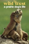 A Prairie Dog's Life Movie Streaming Online