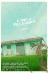 After the (g)rain is gone Movie Streaming Online