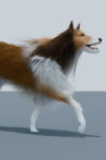 AN ANIMATED DOG READS JOHN BERGER, HARAWAY, AND KAFKA Movie Streaming Online
