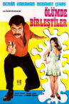 Ana Gibi Yar Olmaz Movie Streaming Online