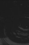 Avantgarde Puddle Movie Streaming Online