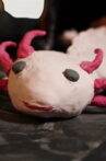 Axolotl Armageddon Movie Streaming Online