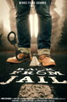 Back From Jail Movie Streaming Online