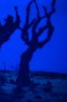 Beastie Movie Streaming Online
