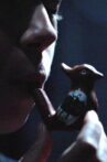 Bird Bird Movie Streaming Online