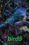 bird5.mp4 Movie Streaming Online