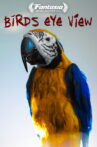Bird's Eye View Movie Streaming Online