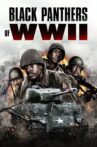 Black Panthers of WWII Movie Streaming Online