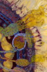 bleached. Movie Streaming Online