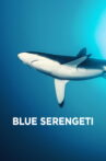 Blue Serengeti Movie Streaming Online