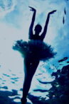 Bodrum Dream Movie Streaming Online