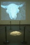 Buffalo Bone China Movie Streaming Online