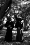 Burning Autumn Leaves: Treachery Movie Streaming Online