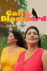 Call of the Blackbird Movie Streaming Online