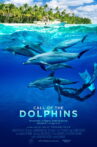 Call of the Dolphins Movie Streaming Online