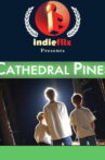 Cathedral Pines Movie Streaming Online