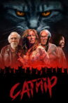 CATnip Movie Streaming Online
