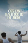 Cats Can Teach You To Die Alone Movie Streaming Online
