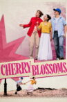 Cherry Blossoms Movie Streaming Online