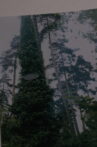 Common Ground Movie Streaming Online