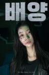 Culture Movie Streaming Online