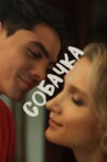 Собачка Movie Streaming Online