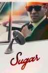 Web Series Streaming Online