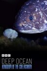Deep Ocean: Kingdom of the Coelacanth Movie Streaming Online