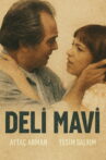 Deli Mavi Movie Streaming Online
