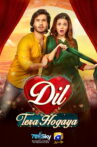 Dil Tera Hogaya Movie Streaming Online