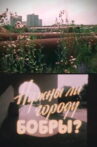 Does This Town Need Beavers? Movie Streaming Online