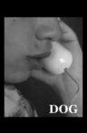 Dog Movie Streaming Online
