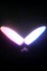 Double Flame Movie Streaming Online