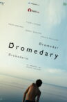 Dromedary Movie Streaming Online