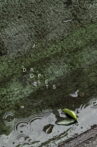 Droplets Movie Streaming Online