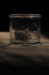 Dust Studies Movie Streaming Online