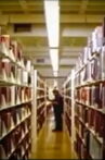 Ed Lee Movie Streaming Online