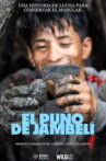 El Puño de Jambelí Movie Streaming Online