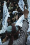 Elegy of the Enemy Movie Streaming Online