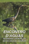 Encontro D'Águas - Segredos da Ria e do Baixo Vouga Lagunar Movie Streaming Online