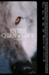 ENTRE CHIEN & LOUP Movie Streaming Online