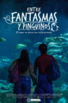 Entre Fantasmas y Pingüinos Movie Streaming Online
